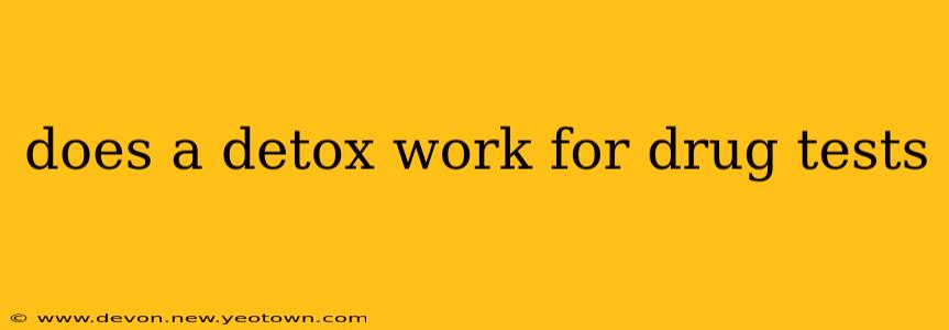 does a detox work for drug tests