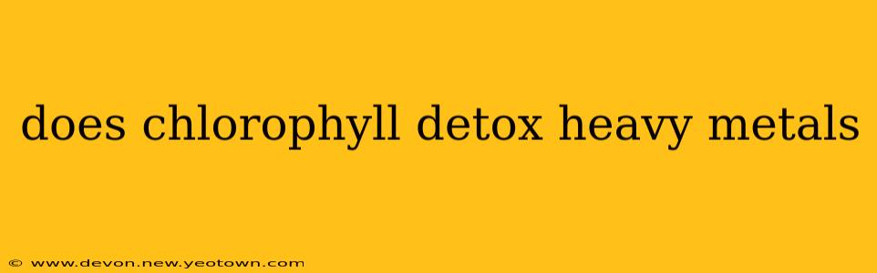 does chlorophyll detox heavy metals
