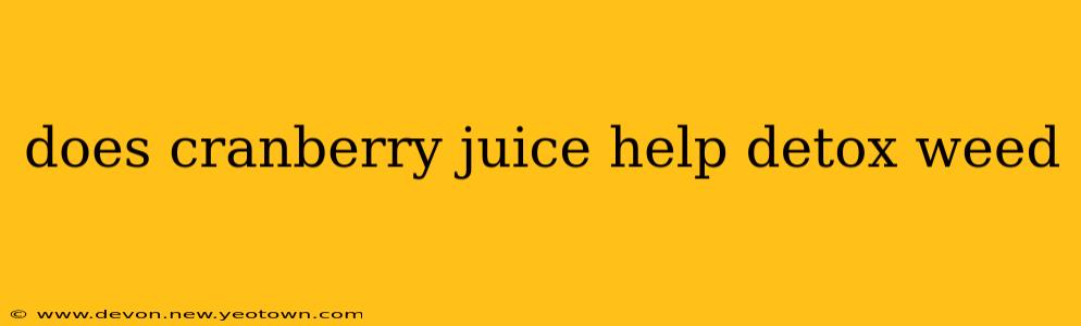 does cranberry juice help detox weed