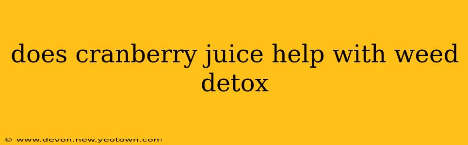 does cranberry juice help with weed detox