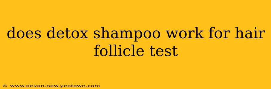 does detox shampoo work for hair follicle test