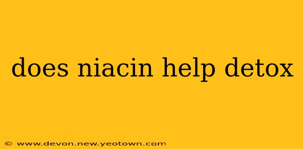 does niacin help detox