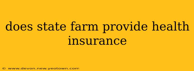 does state farm provide health insurance