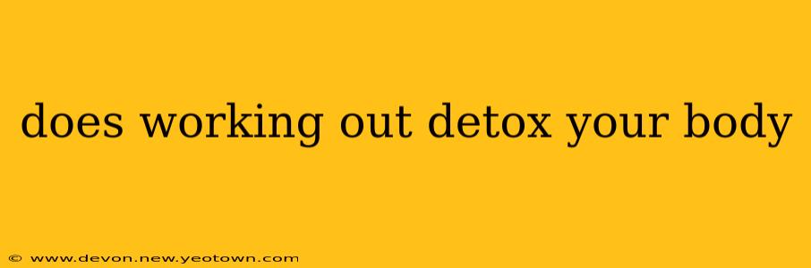 does working out detox your body