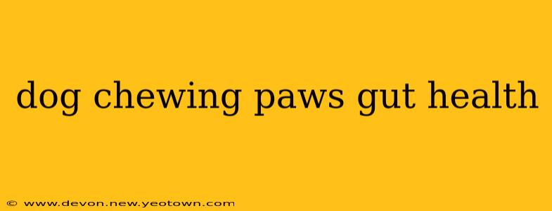 dog chewing paws gut health