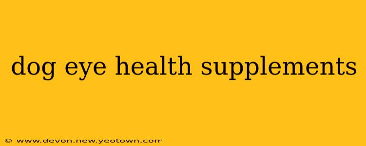 dog eye health supplements