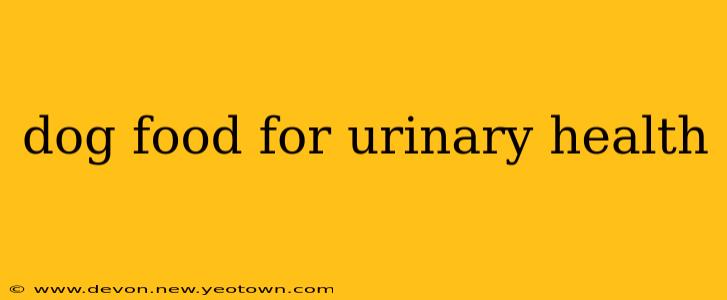 dog food for urinary health