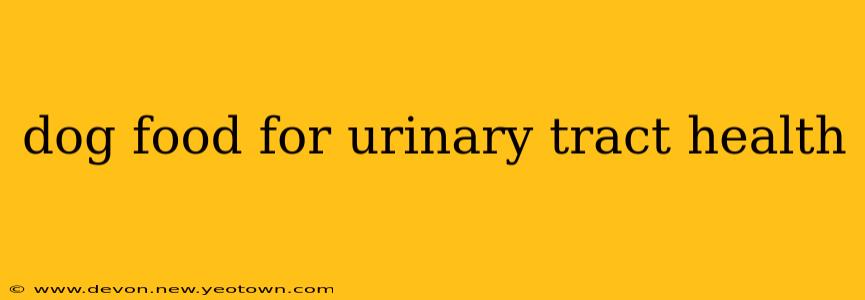dog food for urinary tract health