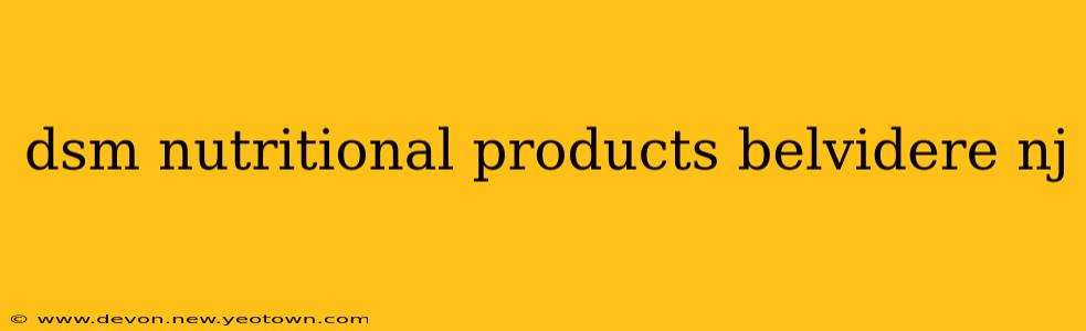dsm nutritional products belvidere nj