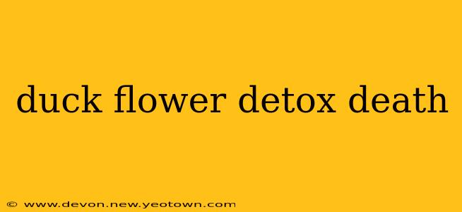 duck flower detox death