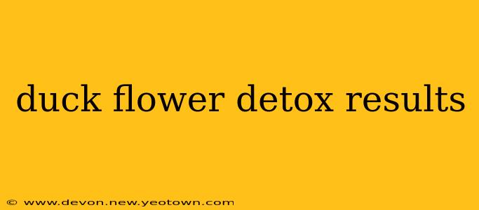 duck flower detox results