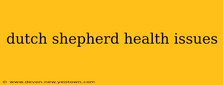dutch shepherd health issues