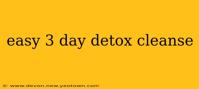 easy 3 day detox cleanse