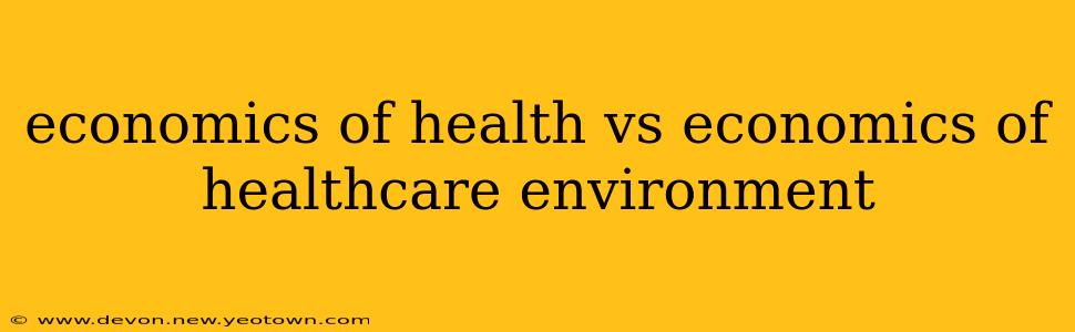 economics of health vs economics of healthcare environment