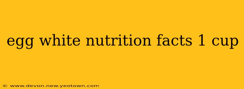 egg white nutrition facts 1 cup