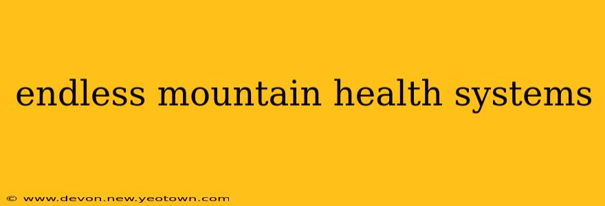 endless mountain health systems
