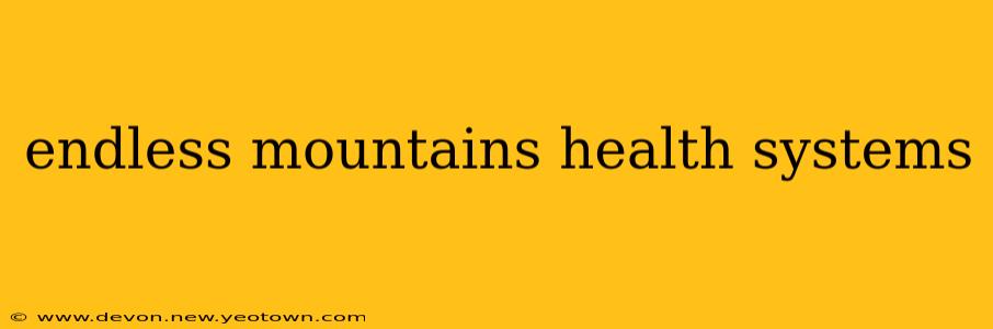 endless mountains health systems