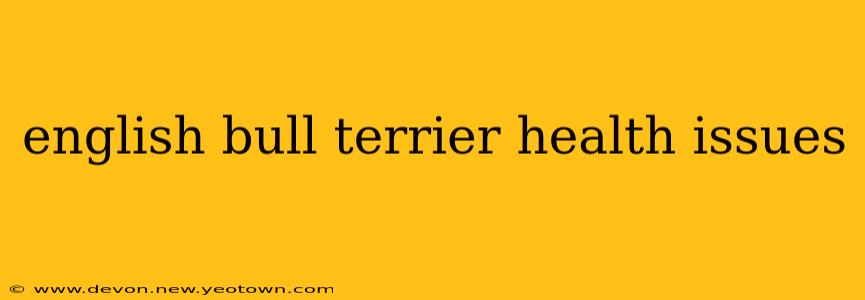 english bull terrier health issues