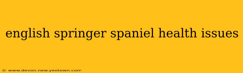 english springer spaniel health issues