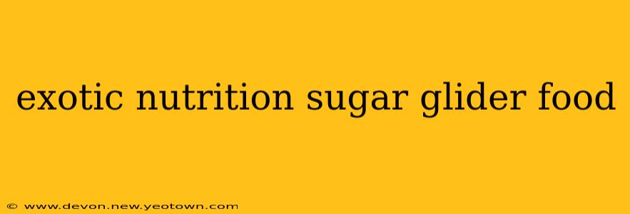 exotic nutrition sugar glider food