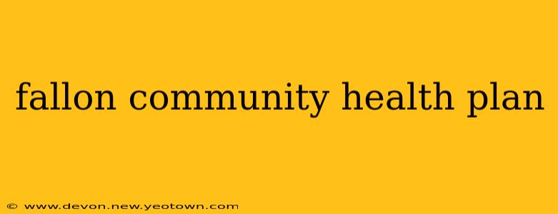 fallon community health plan