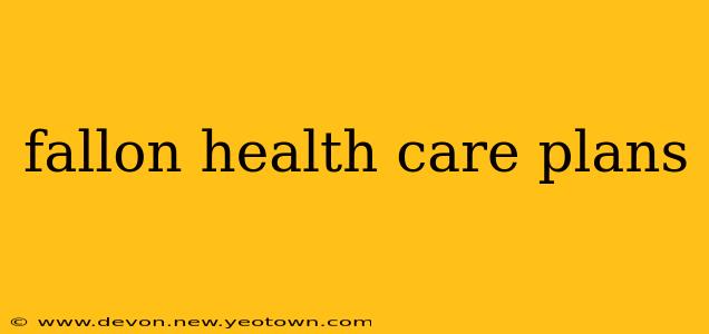 fallon health care plans