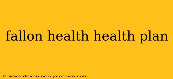 fallon health health plan