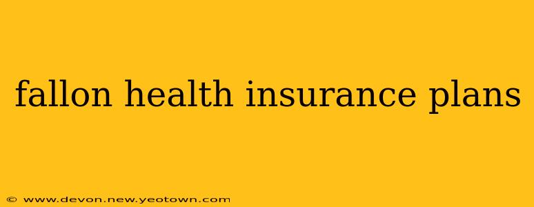 fallon health insurance plans