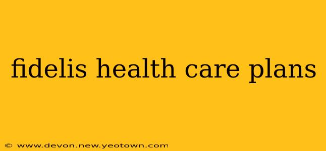 fidelis health care plans