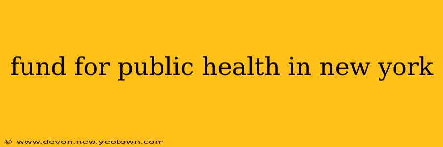 fund for public health in new york