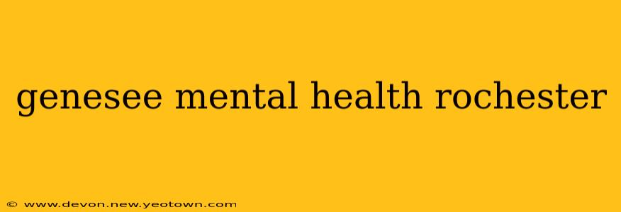 genesee mental health rochester