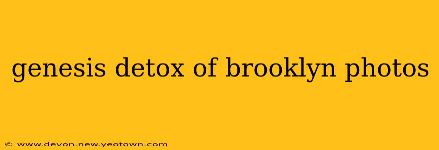 genesis detox of brooklyn photos