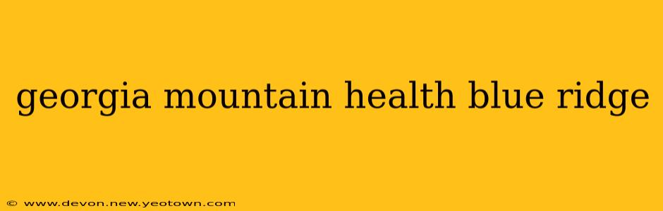 georgia mountain health blue ridge