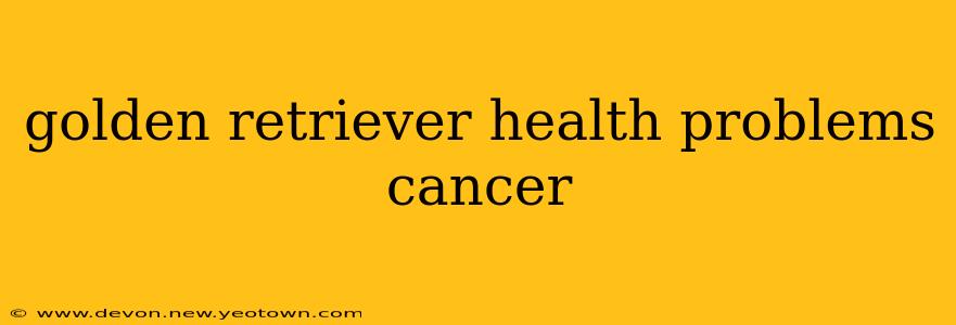golden retriever health problems cancer