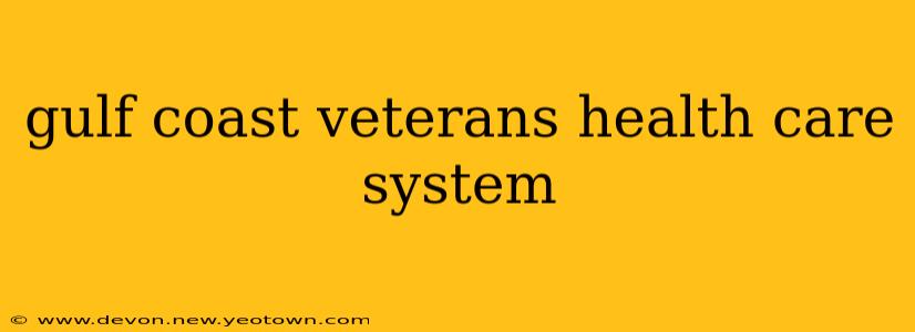 gulf coast veterans health care system