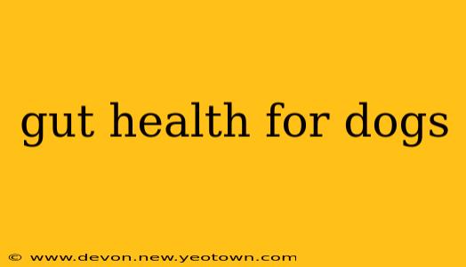 gut health for dogs