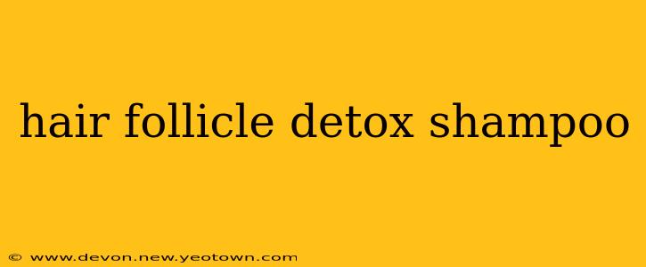 hair follicle detox shampoo