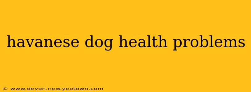 havanese dog health problems