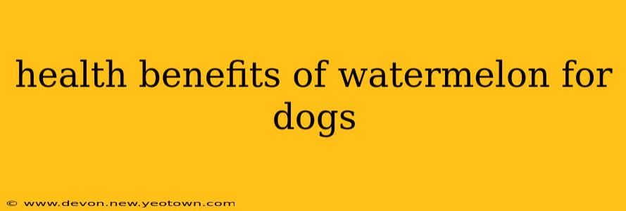 health benefits of watermelon for dogs