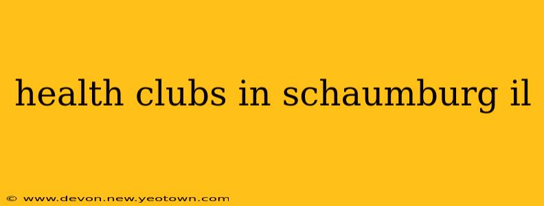 health clubs in schaumburg il