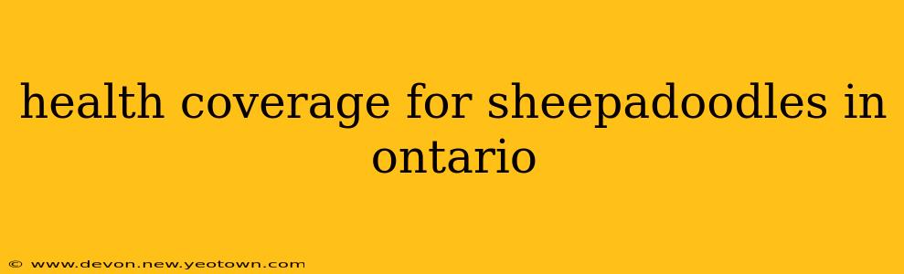 health coverage for sheepadoodles in ontario