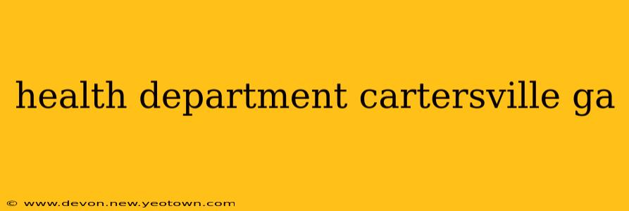 health department cartersville ga