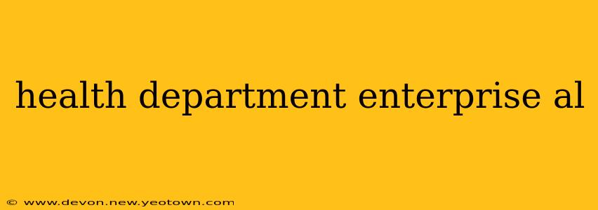health department enterprise al