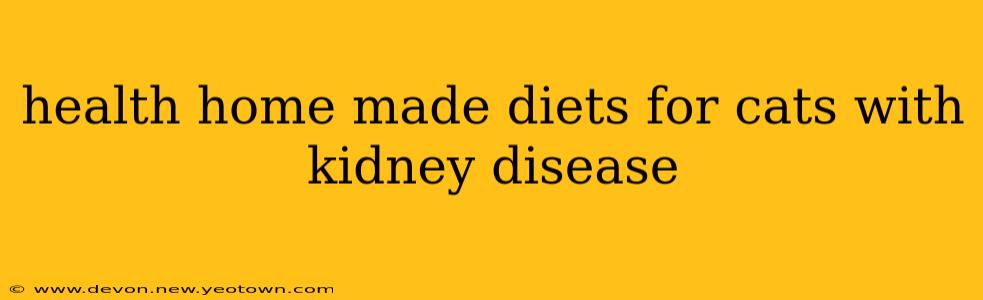 health home made diets for cats with kidney disease