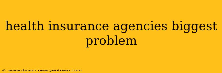 health insurance agencies biggest problem