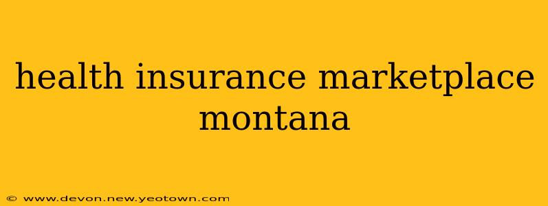 health insurance marketplace montana