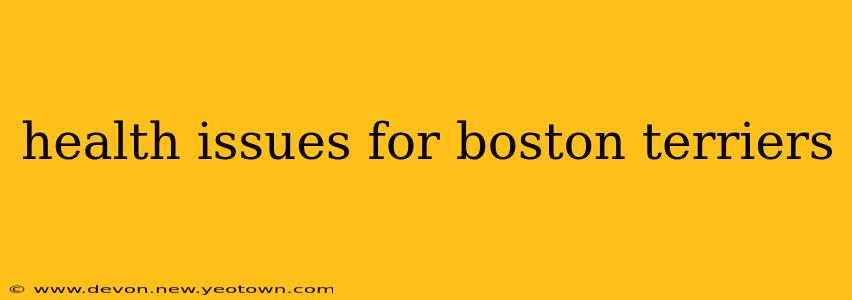 health issues for boston terriers