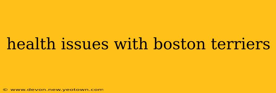health issues with boston terriers