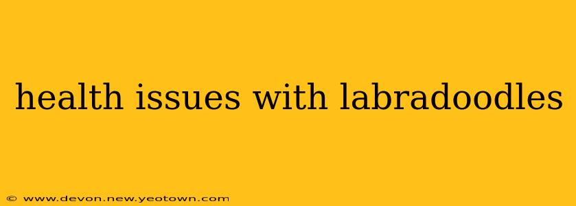 health issues with labradoodles