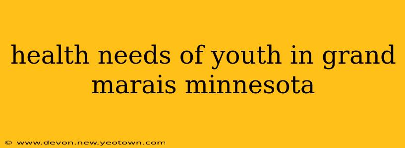 health needs of youth in grand marais minnesota